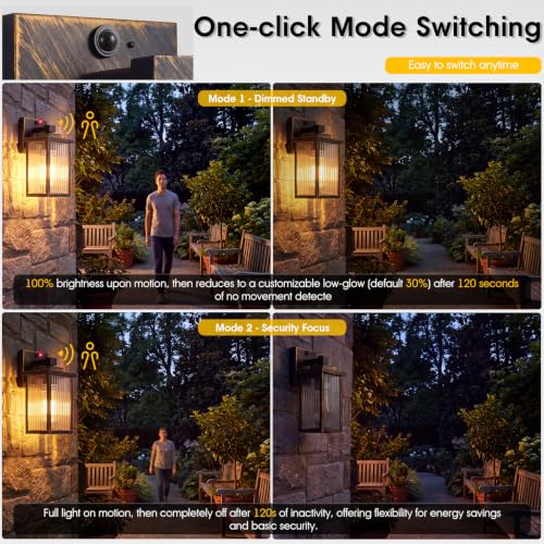 Motion Sensor Wall Light (Black Brush Gold / 10.6''-1 Pack)