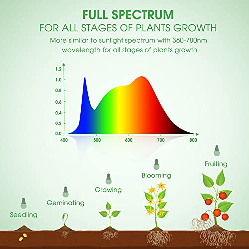 Grow Light Bulbs (Warm)
