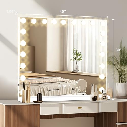 Vanity Mirror with Lights (White / 40"L x 30"W)