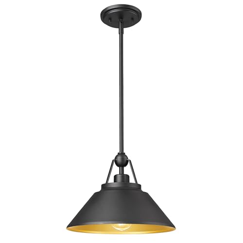 Pendant Light Fixture