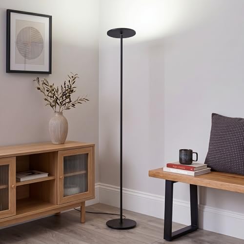 Sky Flux Dimmable LED Floor Lamp (Black)
