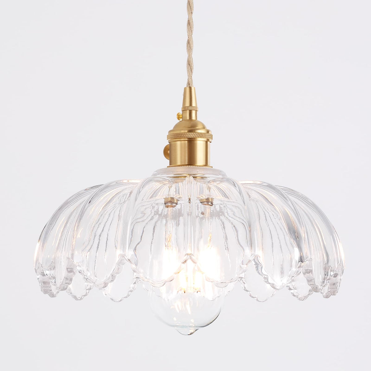 Pendant Light with Clear Scindapsus Glass Lmapshade (Scindapsus Clear)