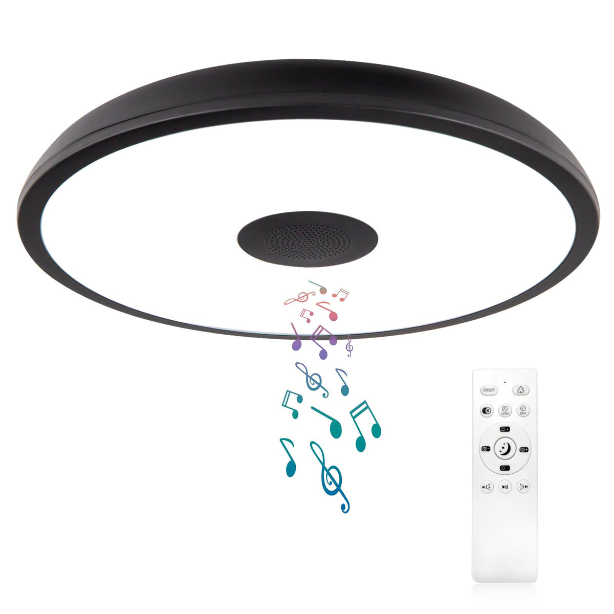 Black Waterproof LED Flush Mount Ceiling Light Fixture (Black-Dimming Function+Bluetooth / 11-inch)