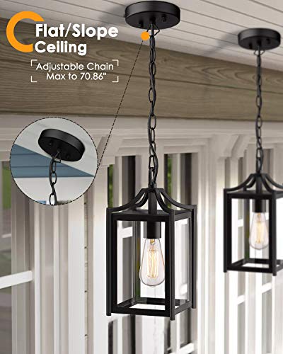Outdoor Pendant Lights for Porch (Black / Small-Clear Glass)