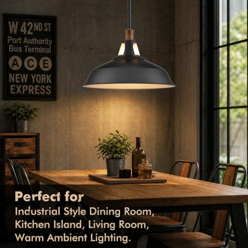 Black Metal Barn Stem Pendant Light