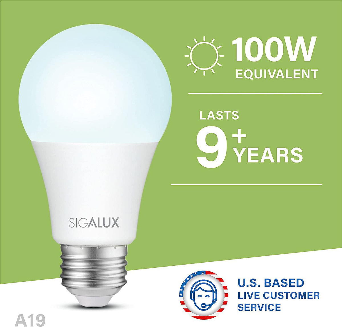 LED Light Bulbs 100 Watt Equivalent (100w-daylight / 12 Count (Pack of 1))