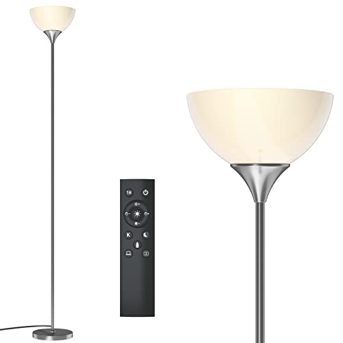 Floor Lamp Remote Control with 4 Color Temperatures (Brushed Nicke)