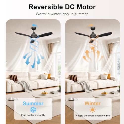 Ceiling Fan with Light