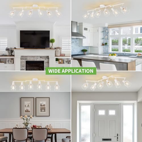 Track Lighting Fixtures (White / 6-Light-Cage)