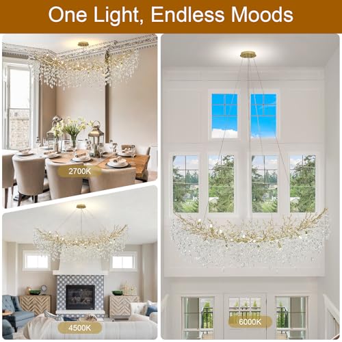Modern Crystal Chandelier (Gold / A-L63 Inch)