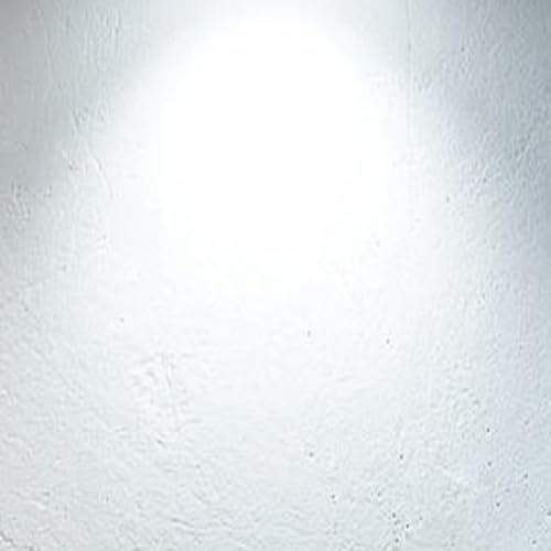 ST58 Vintage Light Bulbs Dimmable