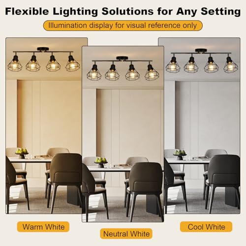 4 Light Track Lighting Farmhouse (4-Light)