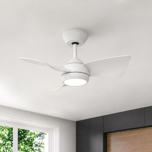 30 Inch Small Ceiling Fan with Light (White / 30 Inch)