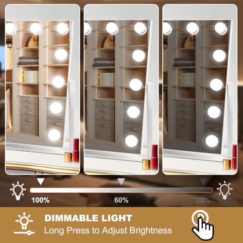 Vanity Mirror with Lights (White / 19"L x 16"W)