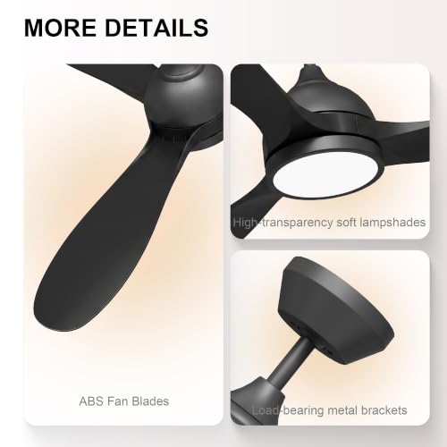 Ceiling Fan with Light