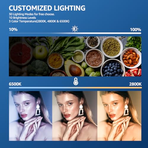 LED Photography Lighting Kit (8“)