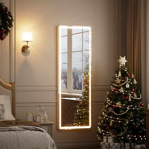 Full Length Mirror with Lights