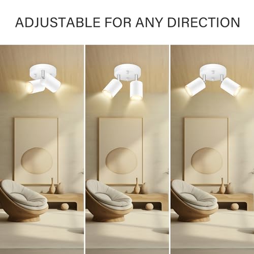 LED 2 Light Track Lighting Kit (2 Light-White)