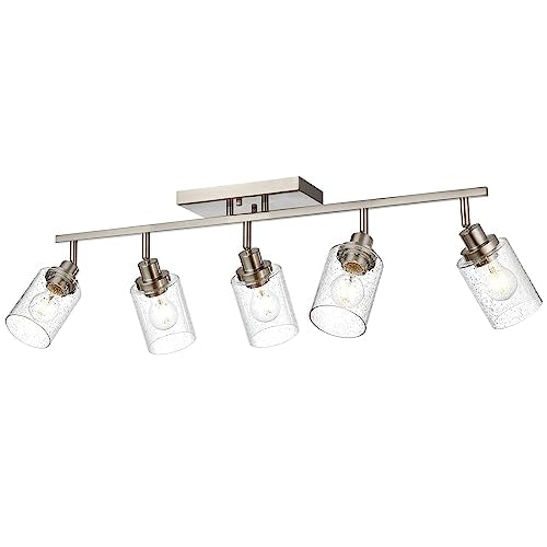 5 Light Track Lighting Kit (Brushed Nickel / 5-Light)