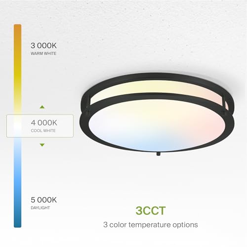 LED 16" Round Flush Mount Lighting (Black)