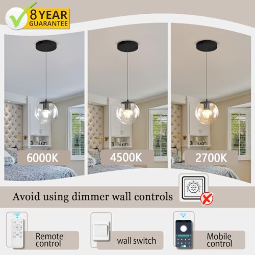 Globe Pendant Light Black Pendant Light Fixtures with Clear Glass 1 (Black-Clear / Globe 1-Light)