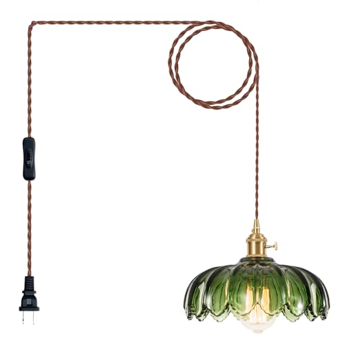 Plug in Pendant Light