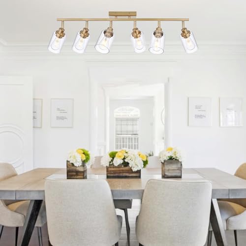 6 Light Track Lighting Kits Gold (Gold / 6-Light)