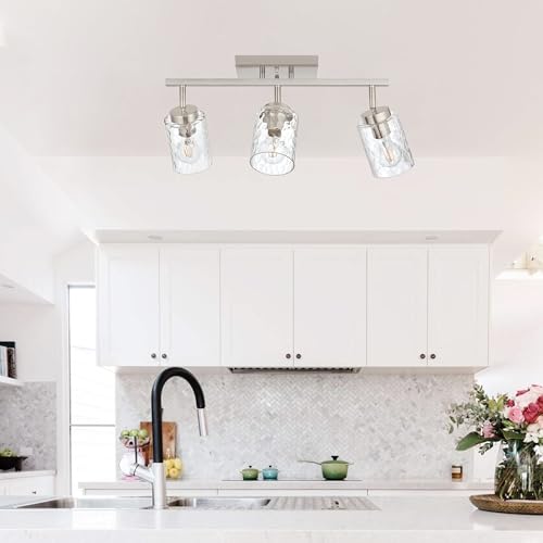 Track Lighting Fixtures Ceiling (Brushed Nickel / 3 Lights)
