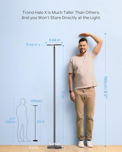 Floor Lamp LED Modern Torchiere Lamp (Daylight Black)
