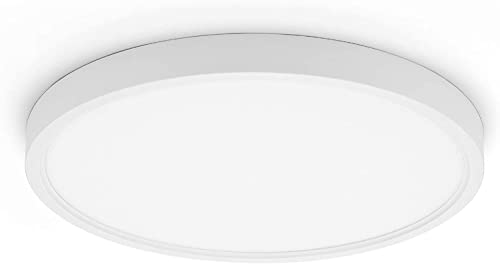 LED Ceiling Light C2