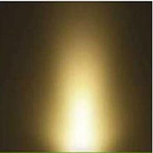 LED Edison Bulbs