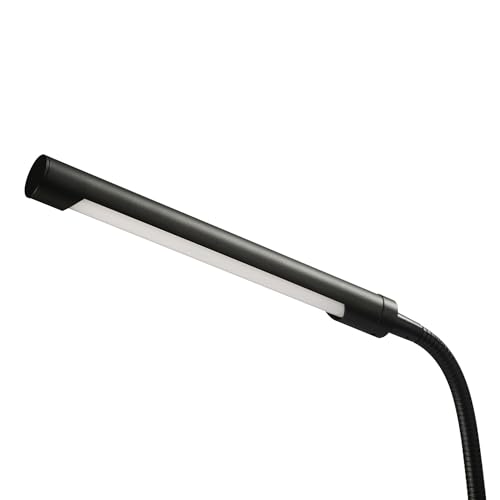 56060 Arden 12" LED Integrated Desk Lamp (Black / 12 inches)
