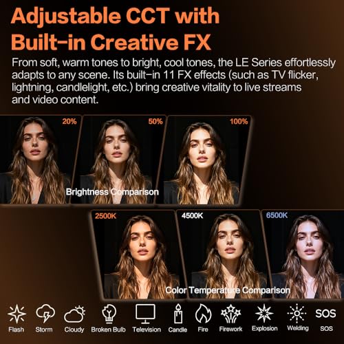 LE200Bi Godox Light Kit (White)
