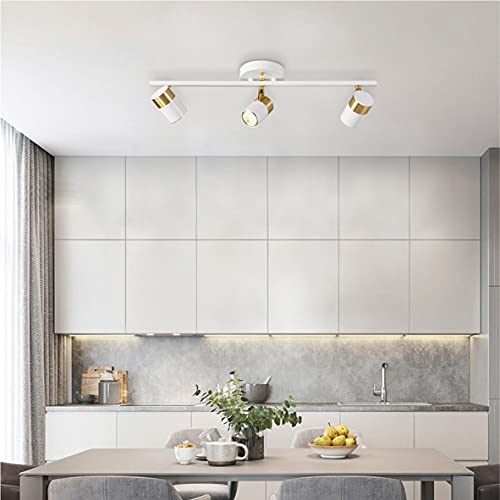 White 3 Lights Track Lighting Fixtures (White)