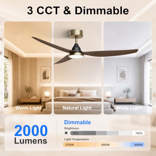 54 Inch Ceiling Fan with Lights (Gold & Walnut / 54 inch)