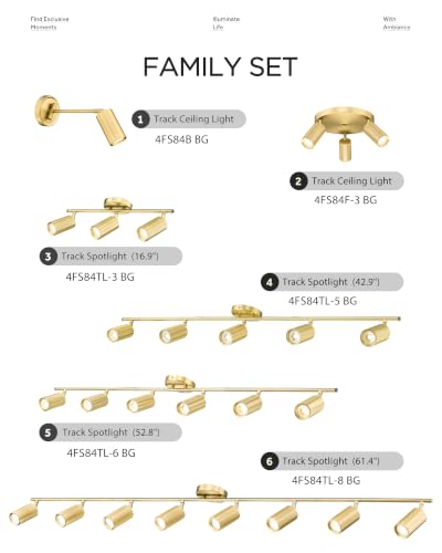 Track Lights Ceiling Mount (Kaleidoscope, Brushed Gold / 61.4", 8-light)