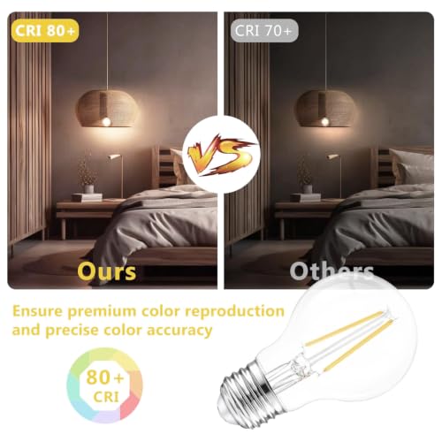 12 Pack A19 Vintage LED Edison Bulbs