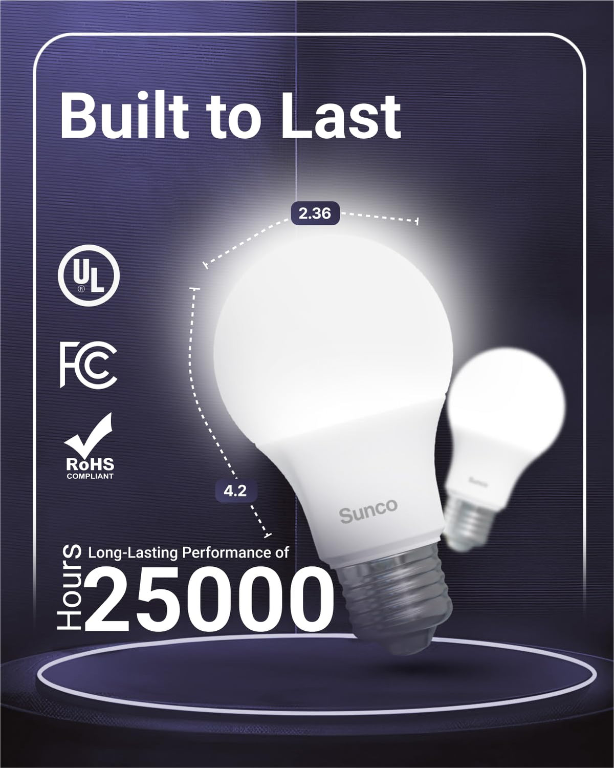 Sunco 10 Pack A19 LED Light Bulb (10 Count (Pack of 1))