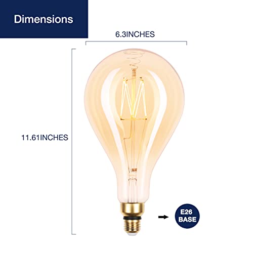 Oversized LED Edison Bulb