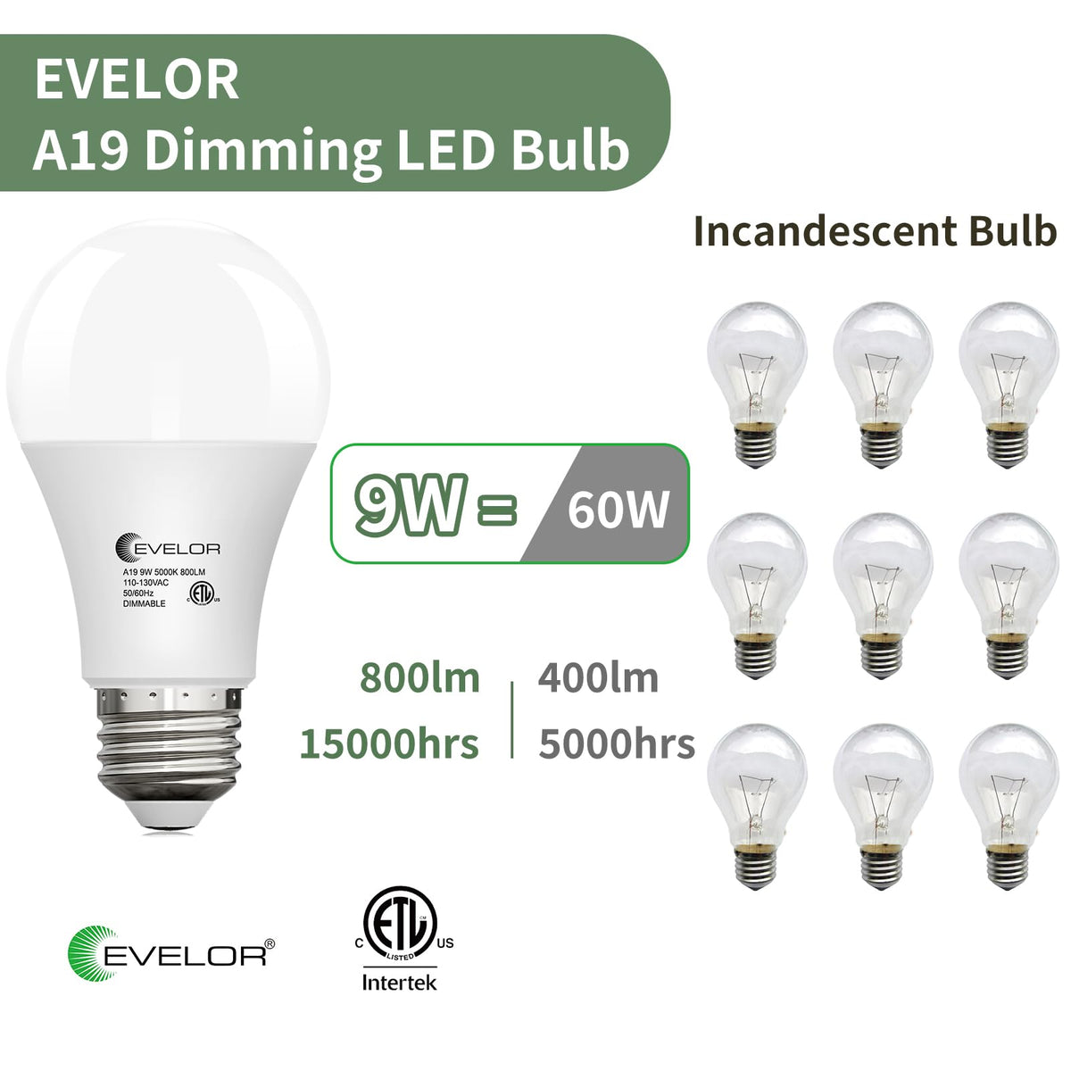 6 Pack LED Light Bulbs (Daylight 5000k / 6 Piece)