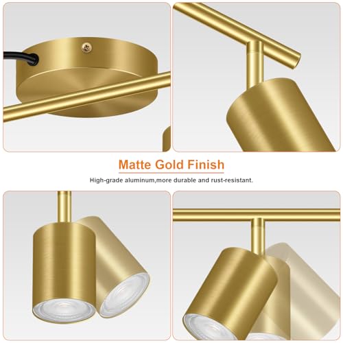 Plug in Track Lighting LED (6-Light Track Light(Gold))