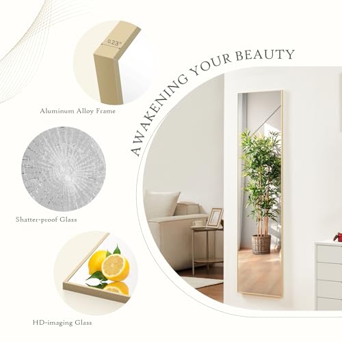 Full Length Floor Mirror (Gold-rect / 59"L x 16"W)