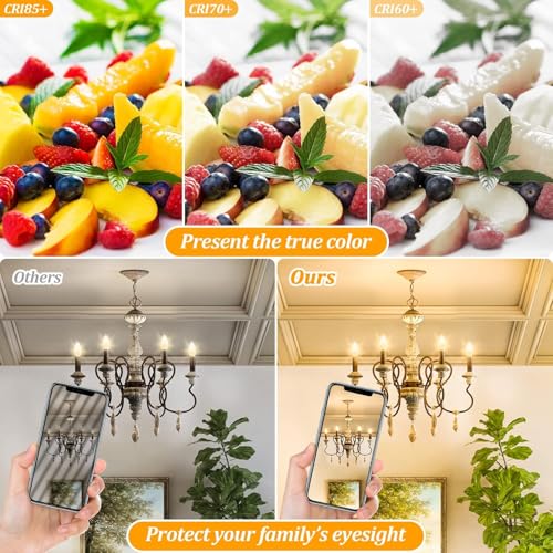 E12 LED Candelabra Light Bulbs 40W Equivalent (2700k Warm White / 12 Pack)