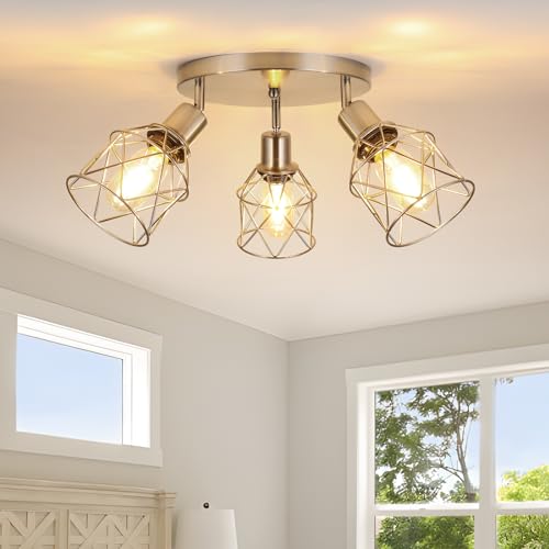 3 Light Track Lighting Fixture Ceiling Light Kitchen Brushed Nickel (Brushed Nickel / 3-Light-Cage)