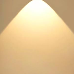 ST58 E26 LED Light Bulbs