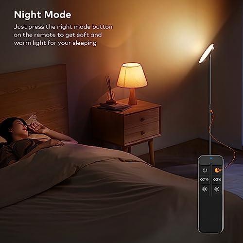 Torchiere Floor Lamp (Black)