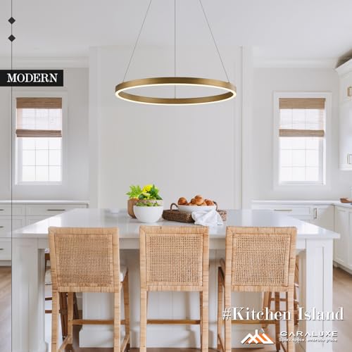 Modern LED Ring Chandelier Brass Gold Chandeliers 24in Dimmable (1 Ring 24'' / Gold Brass)