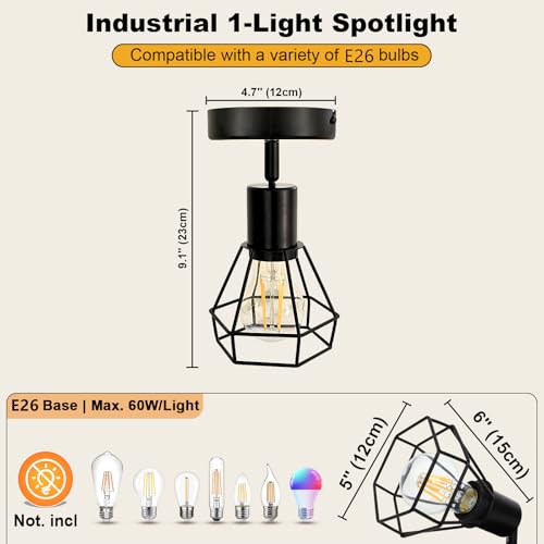 LED Track Lighting Fixture (1-Light)
