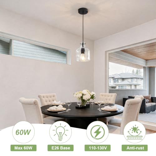 Black Hammered Clear Glass Pendant Light (Black-1Pack)