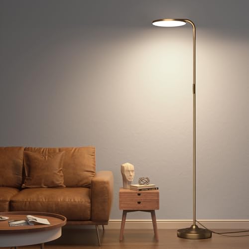 36W LED Floor Lamp (Brown)
